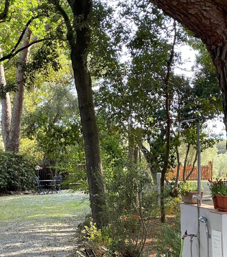Agriturismo Podere Campalto Campiglia Marittima Eksteriør billede