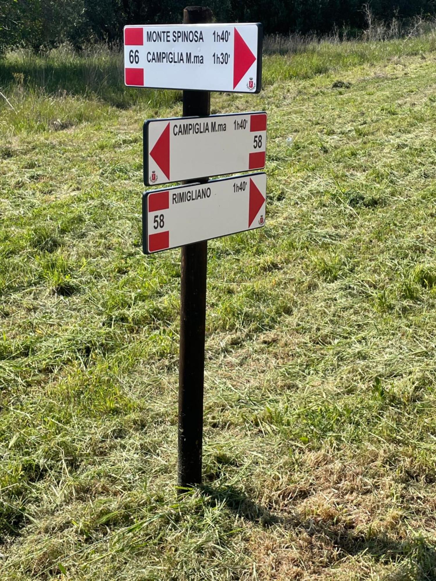 Agriturismo Podere Campalto Campiglia Marittima Eksteriør billede