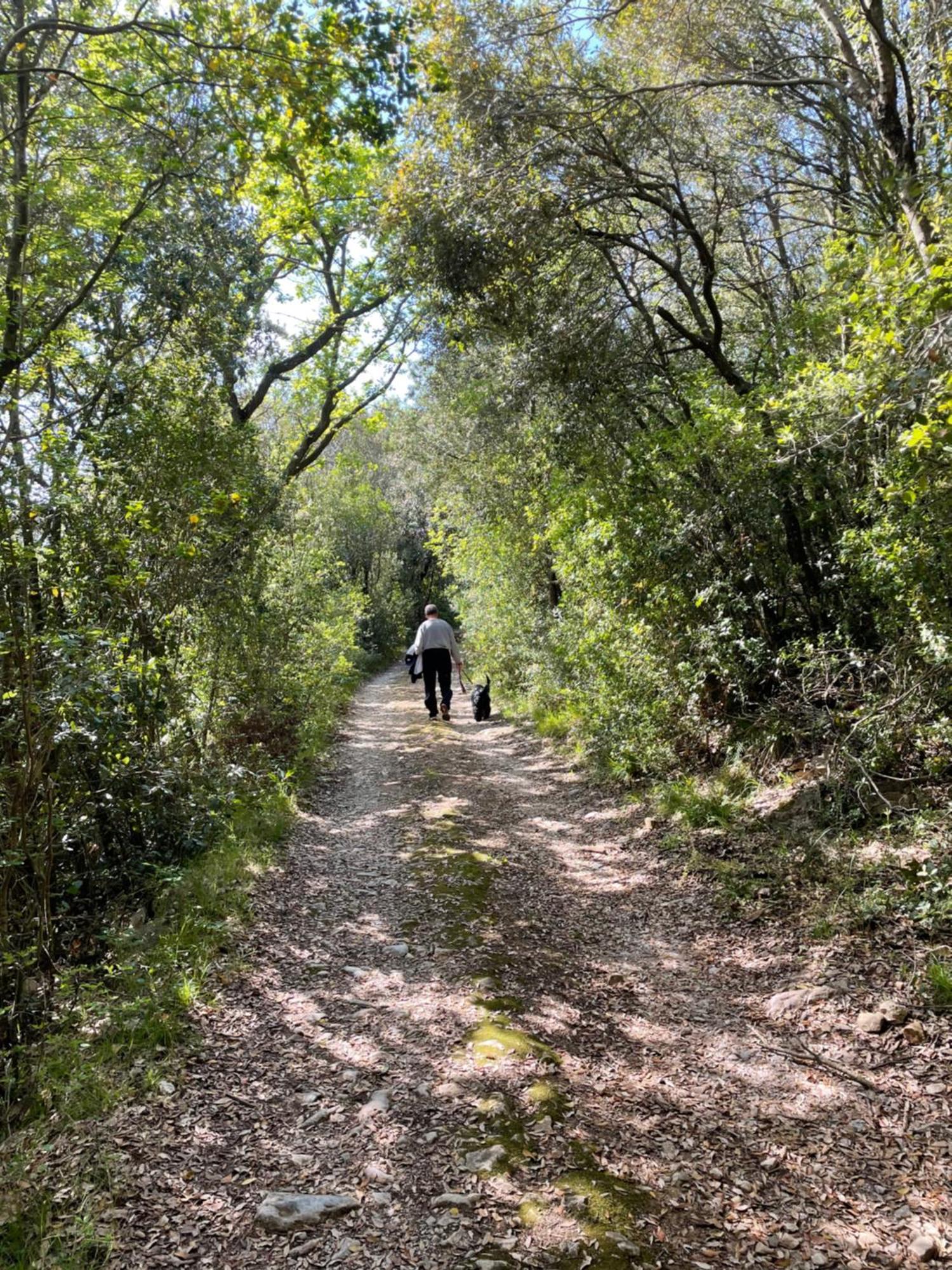 Agriturismo Podere Campalto Campiglia Marittima Eksteriør billede