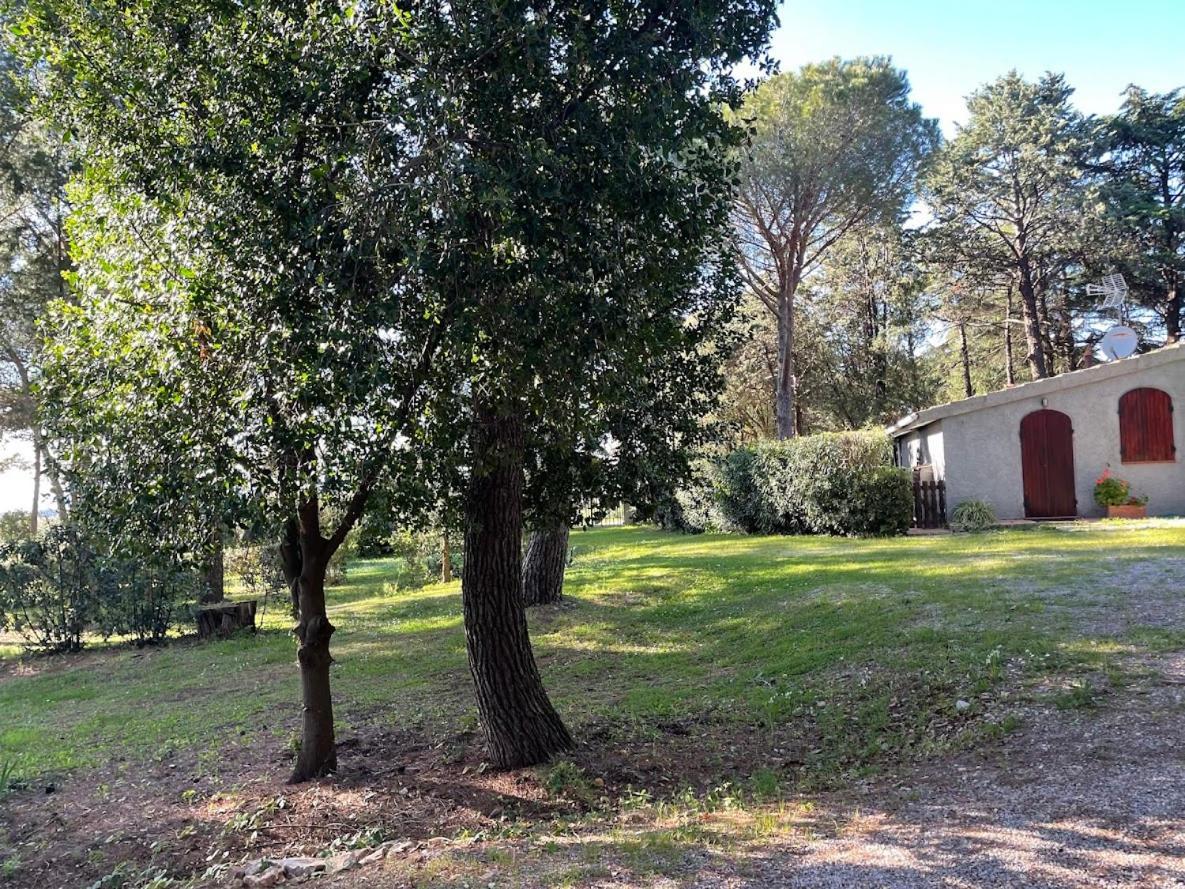 Agriturismo Podere Campalto Campiglia Marittima Eksteriør billede