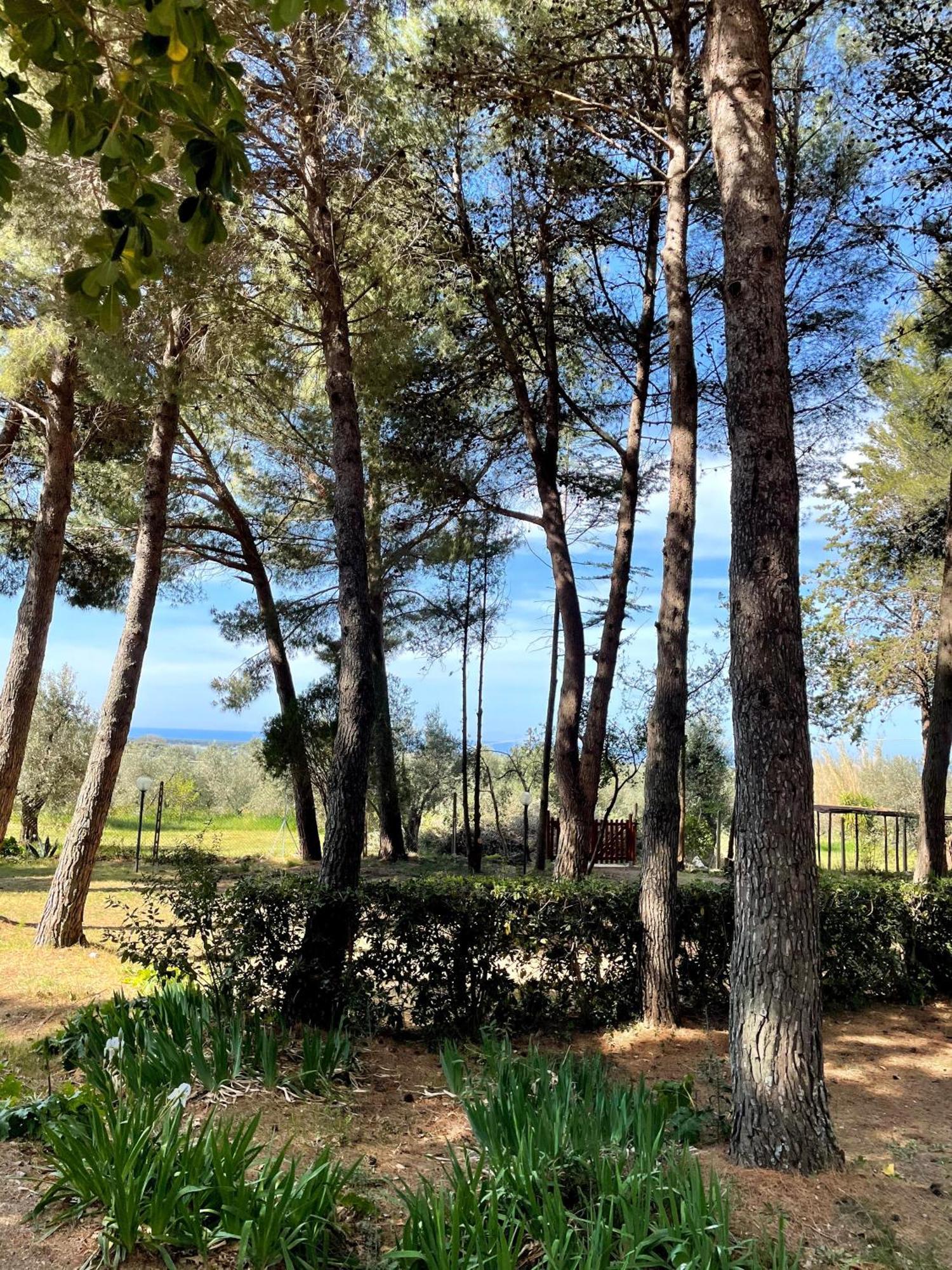 Agriturismo Podere Campalto Campiglia Marittima Eksteriør billede