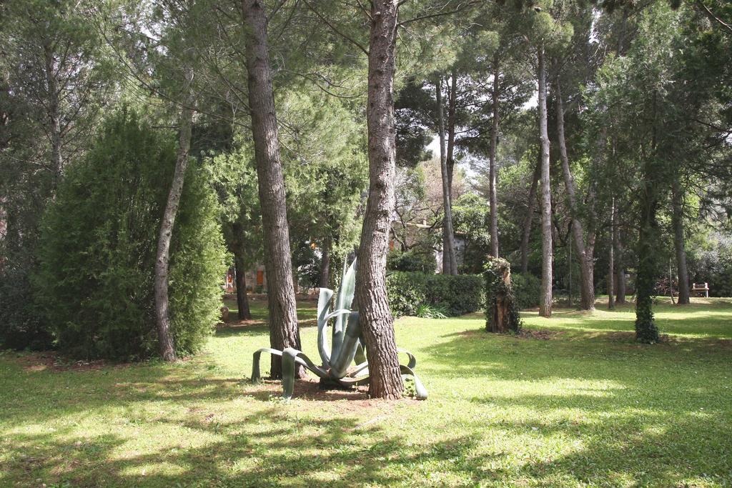 Agriturismo Podere Campalto Campiglia Marittima Eksteriør billede