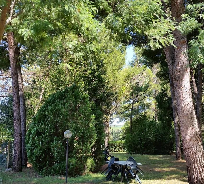 Agriturismo Podere Campalto Campiglia Marittima Eksteriør billede