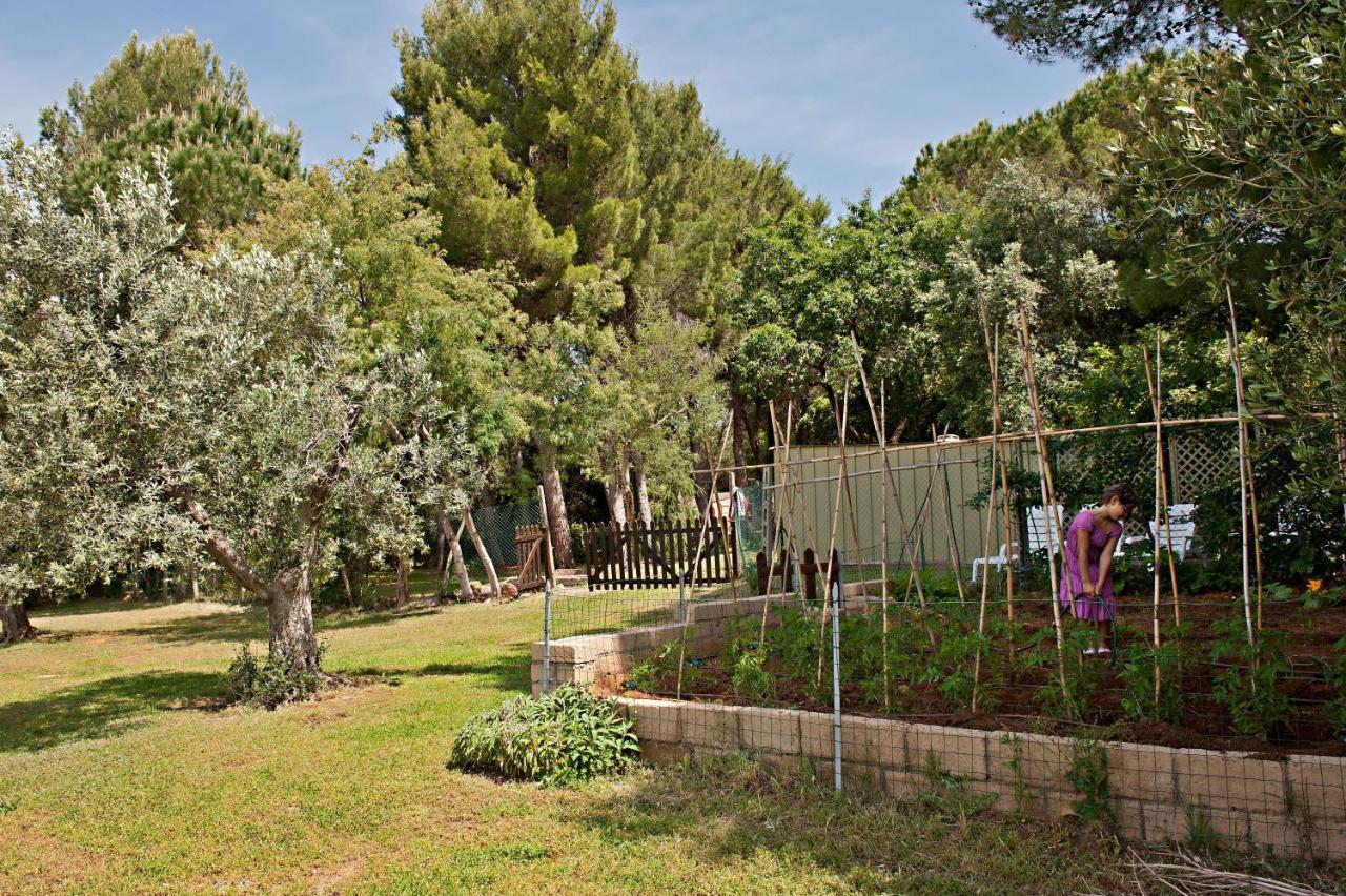 Agriturismo Podere Campalto Campiglia Marittima Eksteriør billede