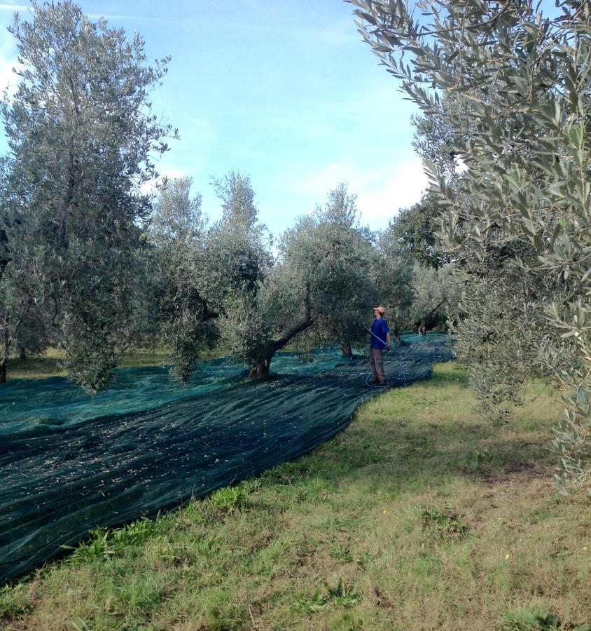 Agriturismo Podere Campalto Campiglia Marittima Eksteriør billede