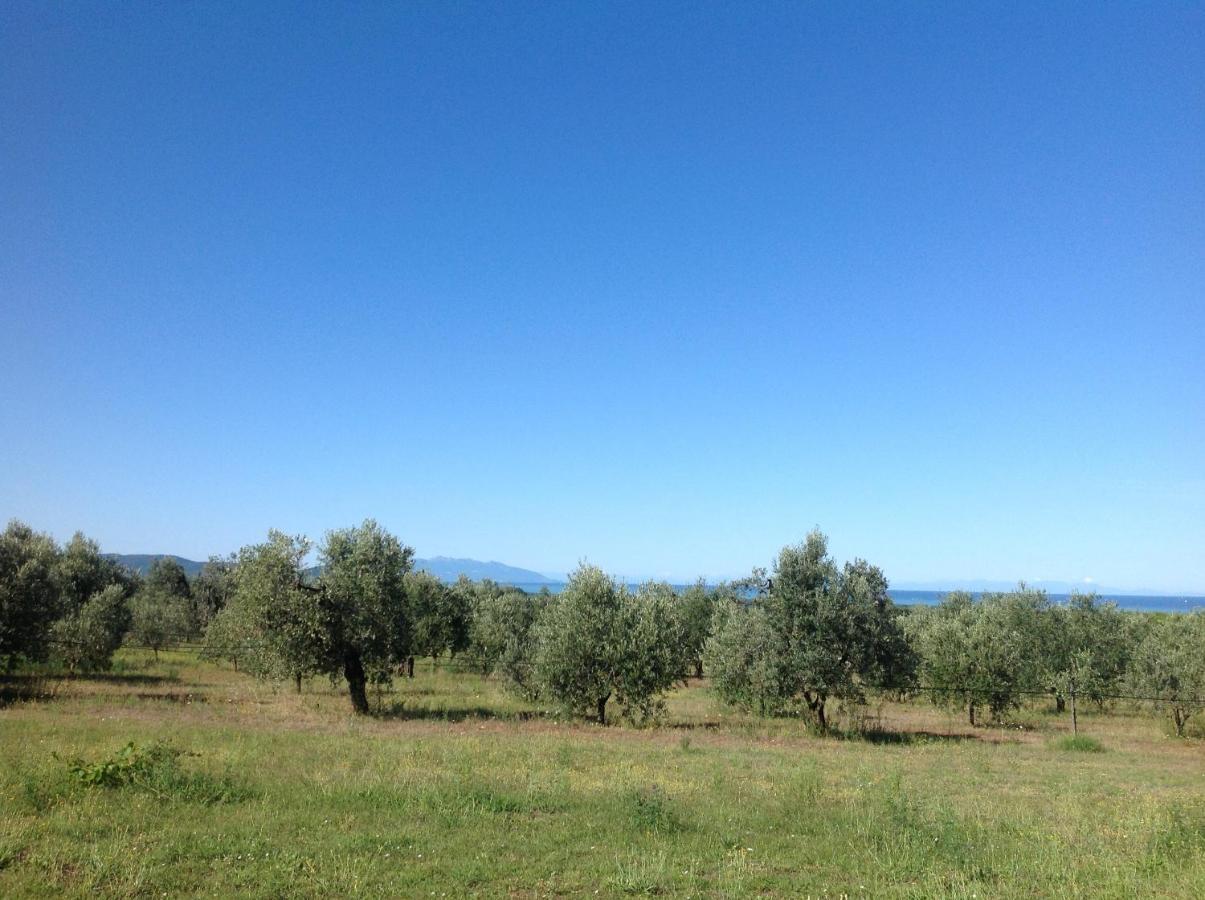 Agriturismo Podere Campalto Campiglia Marittima Eksteriør billede