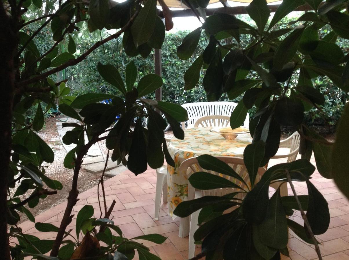 Agriturismo Podere Campalto Campiglia Marittima Eksteriør billede